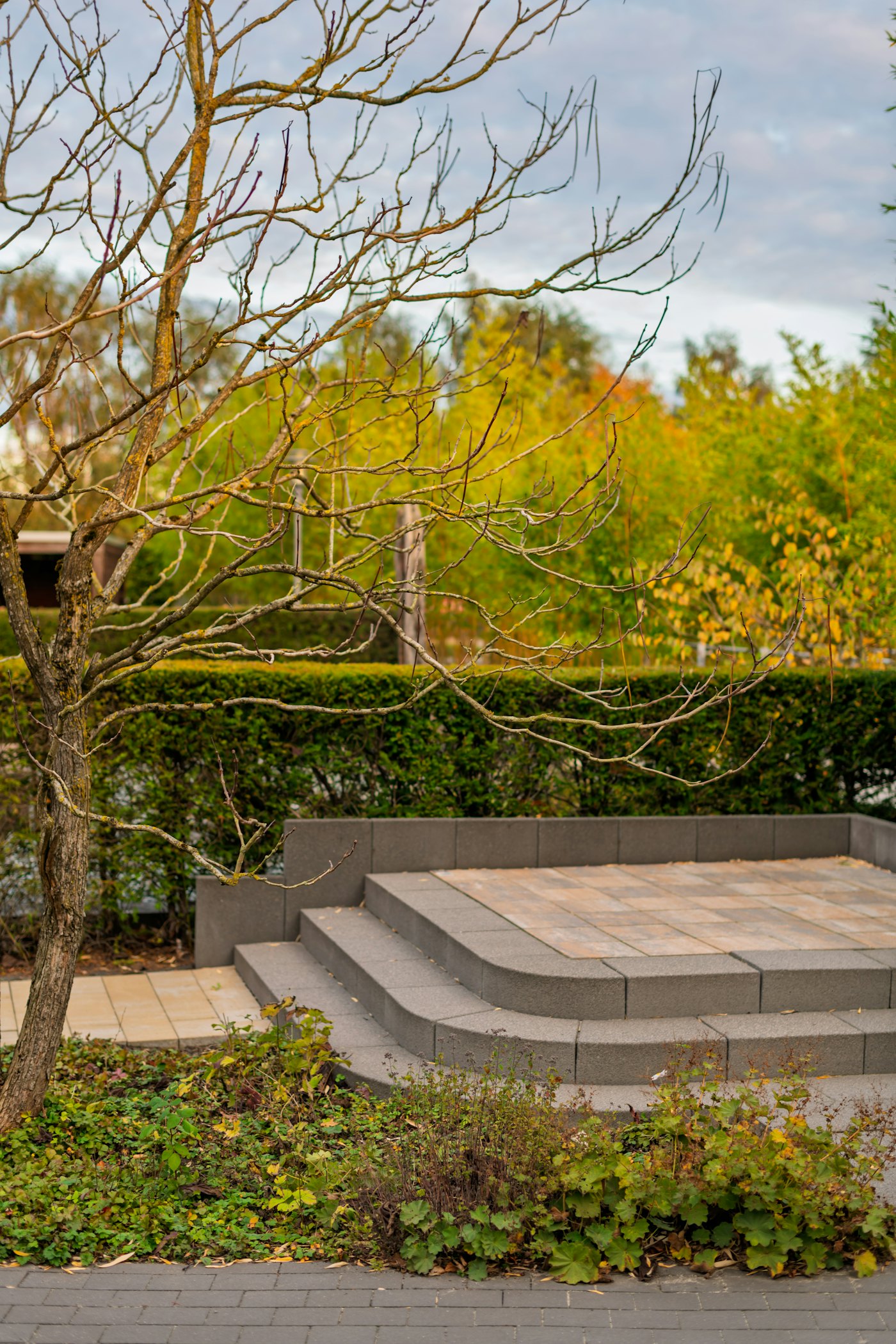 Paver patios